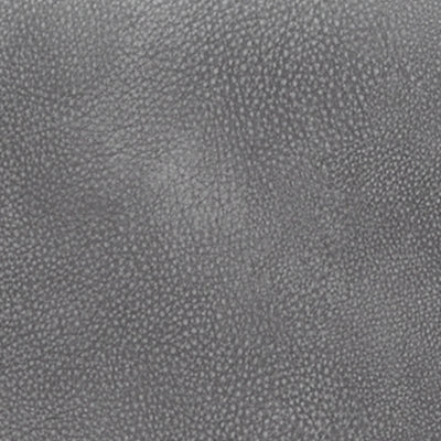 4Z-Serenity Zone Power Lift Recliner