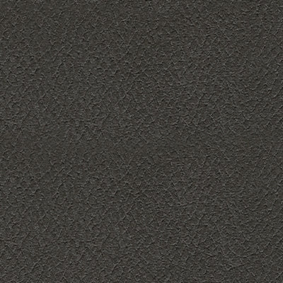 Perarrygin 2-Piece Reclining Sectional