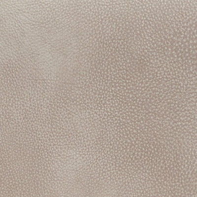 4Z-Serenity Zone Power Lift Recliner