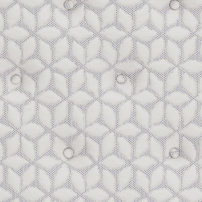 Limited Edition PT Twin Mattress