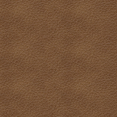 Trasimeno Power Reclining Sofa and Loveseat